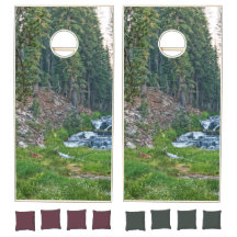 Un dólar descansa en un río en cascada