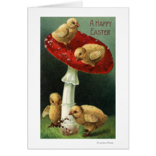 Un EasterChicks feliz en seta roja