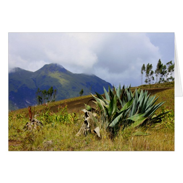 Un Ecuador exitoso (Anverso (Horizontal))