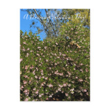 ¡Un El día de San Valentín floreciente! Postal