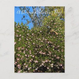 ¡Un El día de San Valentín floreciente! Postal