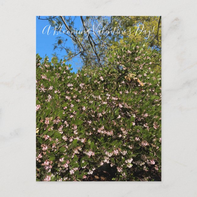 ¡Un El día de San Valentín floreciente! Postal (Anverso)