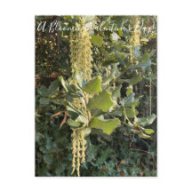 ¡Un El día de San Valentín floreciente! Postal