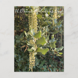 ¡Un El día de San Valentín floreciente! Postal