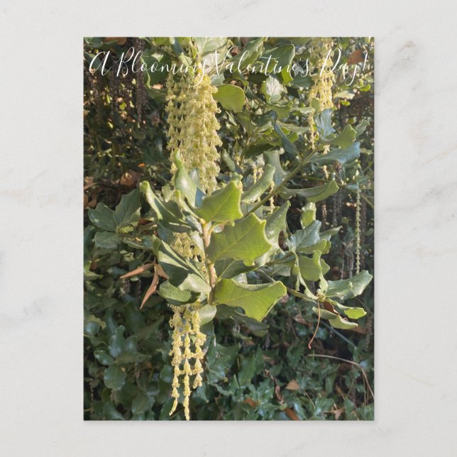 ¡Un El día de San Valentín floreciente! Postal (Anverso)
