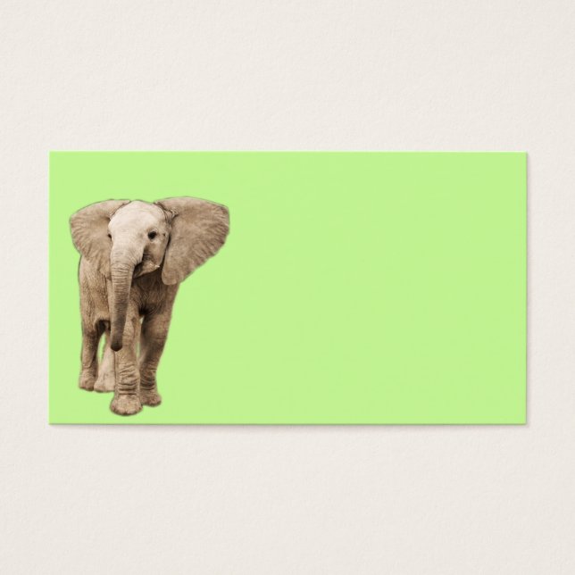 Un elefante pequeño (Frente)