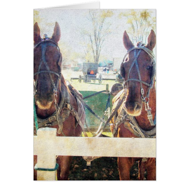 Un equipo de dos caballos (Frente)