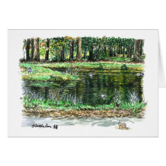 Un estanque para patos