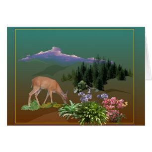 Un estimado Pheona nombrado