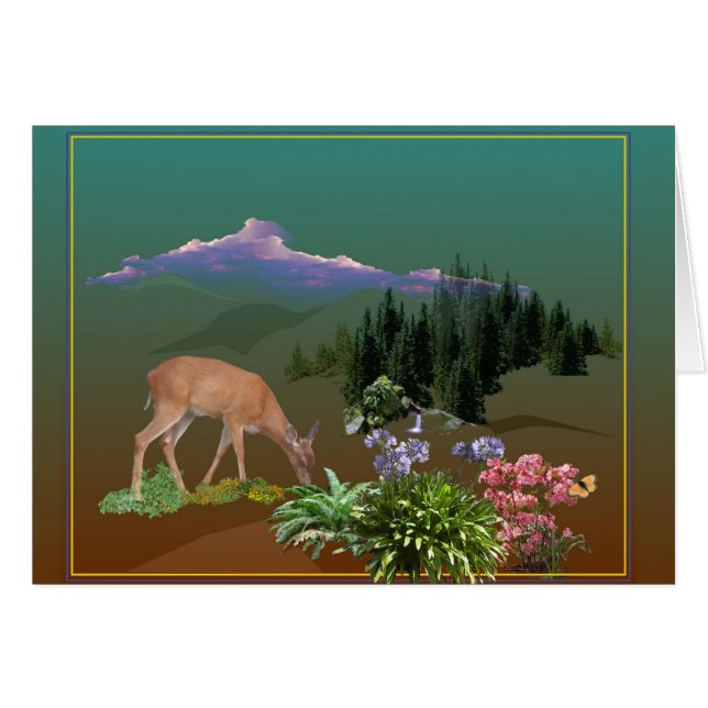 Un estimado Pheona nombrado (Anverso (Horizontal))