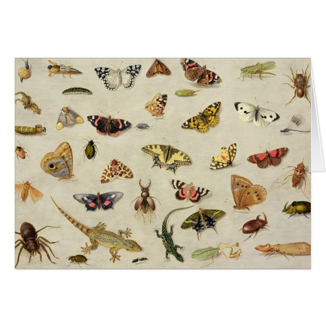 Un estudio de insectos (Anverso (Horizontal))