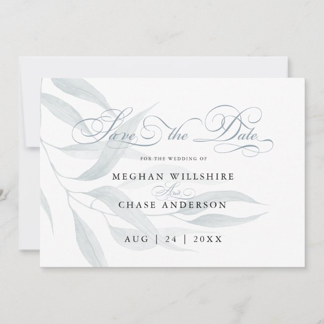 Un eucalipto azul turbio deja en blanco (Anverso)