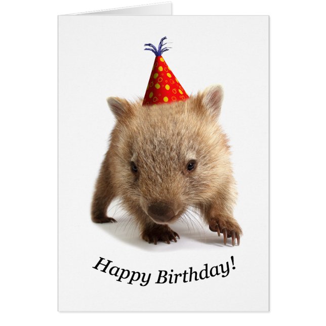 Un feliz cumpleaños del wombat (Frente)