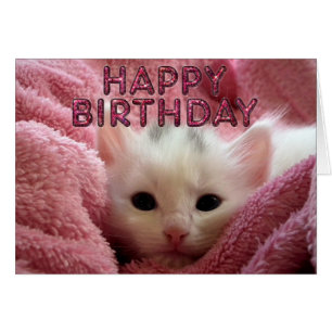 Un gatito agradable y cálido