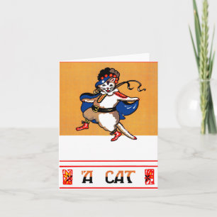 Un gato