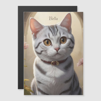 Un gato corto estadounidense de pelo corto con ojo