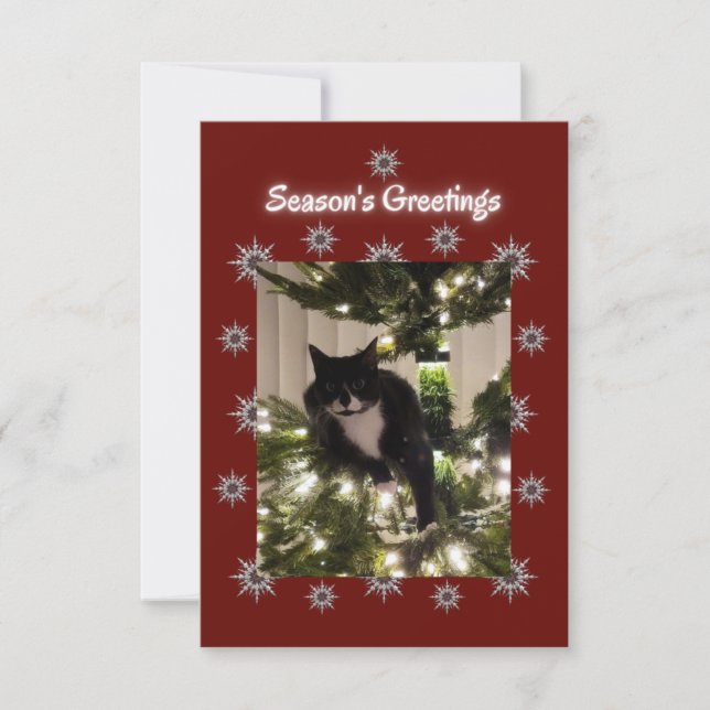 Un gato de Tuxedo jugando en un árbol de Navidad. (Anverso)