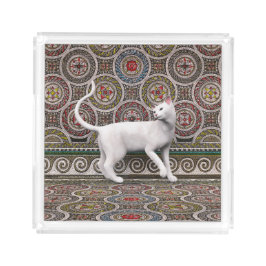 Un gato en la bandeja acrílica del mosaico