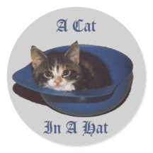 Un gato en un Pegatina Gorra