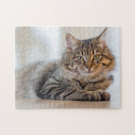 Un Gato Encantador Mirándote El Puzzle De La Mirad