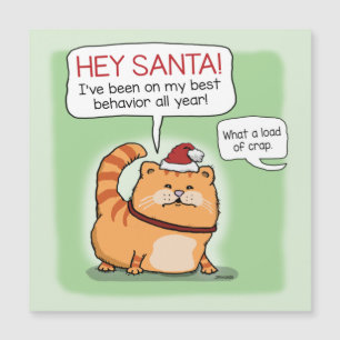 Un gato gracioso miente a los Navidades de Santa C