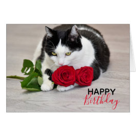 Un gato lindo con la rosa roja