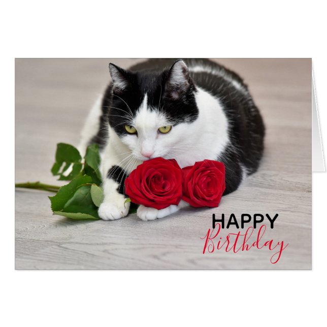 Un gato lindo con la rosa roja (Anverso (Horizontal))