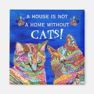 Un gato lindo y colorido una casa no es un imán do