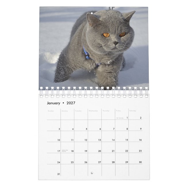 Un gato para cada calendario de temporada (Jan 2027)