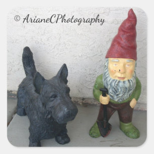Un gnomo y sus pegatinas del perro