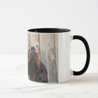 ¡UN GORDON! ¡UN GORDON!, Taza de Cerámica Setter G