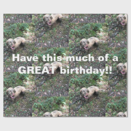 Un gracioso rollo húngaro de papel envolvente