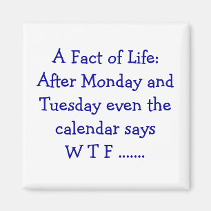 Un hecho de la vida - imán