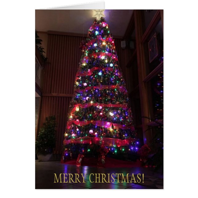 Un hermoso árbol de Navidad con reflexiones (Frente)