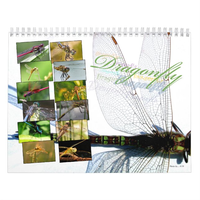 Un + hermoso calendario de paredes de Dragonflies (Tapa)