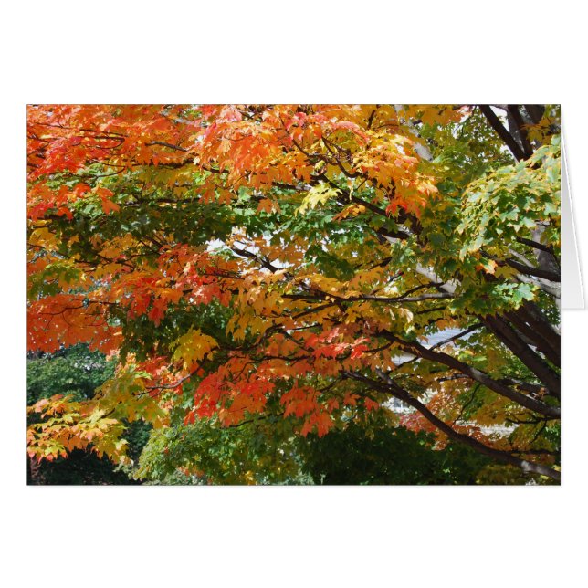 Un hermoso día de otoño en Salem, MAMÁES (Anverso (Horizontal))