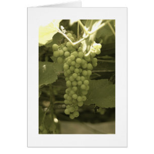 Un hermoso montón de uvas