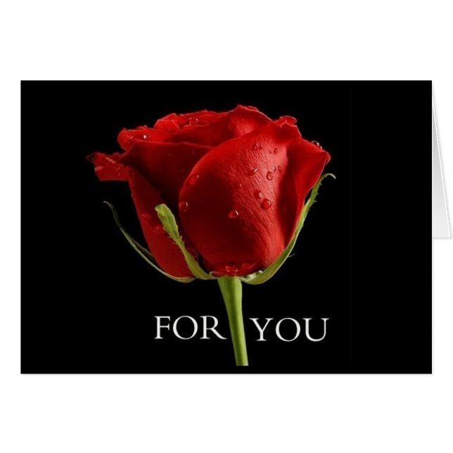 UN HERMOSO ROSA PARA ***MEJOR AMIGO** EL CUMPLEAÑO (Anverso (Horizontal))