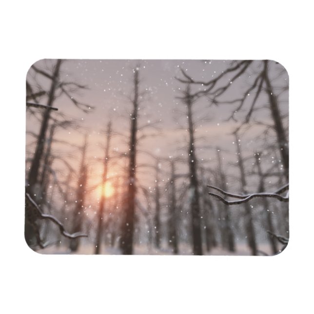 Un imán flexible de sueños en una noche de inviern (Horizontal)