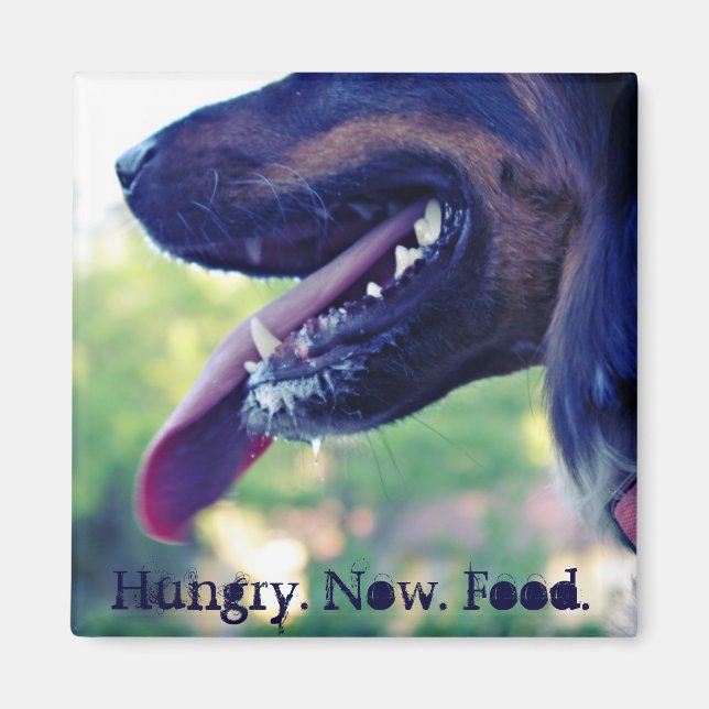 Un imán hambriento para la nevera (Frente)