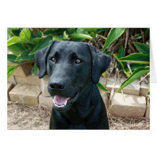 ¡Un laboratorio asombroso con un gran mensaje!