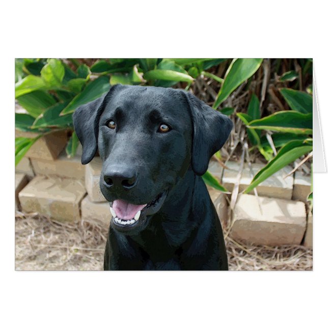 ¡Un laboratorio asombroso con un gran mensaje! (Anverso (Horizontal))