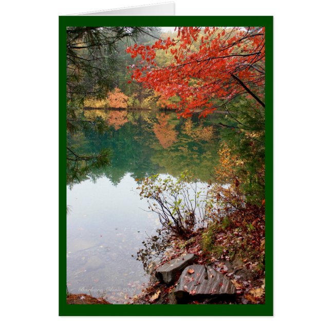 Un lago es el ojo de la Tierra (Frente)