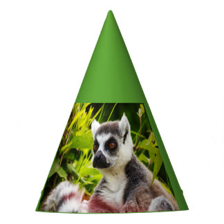 un lémur de Madagascar con sombrero de fiesta