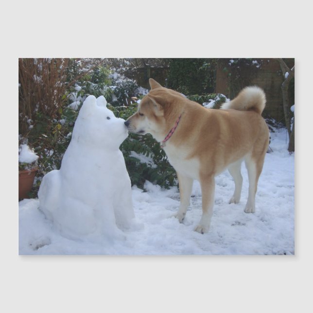 un lindo akita besando a un perro akita snowman (Anverso)