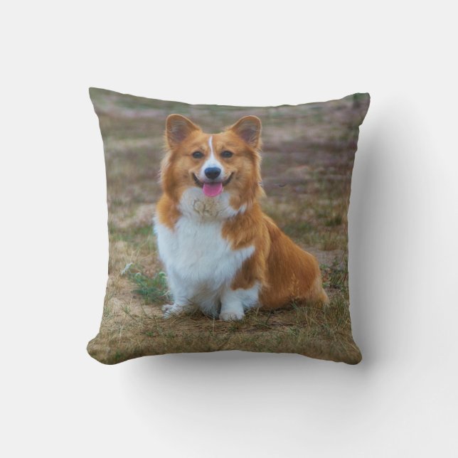 Un lindo perro de Corgi tirando almohada (Anverso)