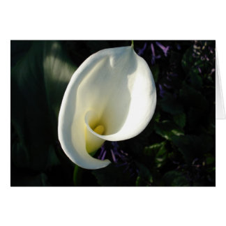 Un lirio de los valles