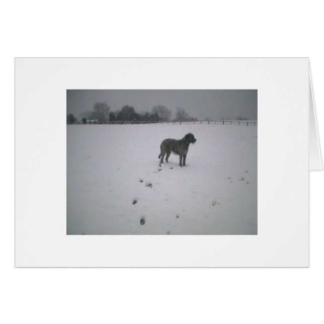 Un lobo irlandés en la nieve (Anverso (Horizontal))
