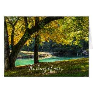 Un Lugar Bajo El Árbol De La Sombra Pensando En Ti