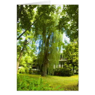 Un lugar más allá - Misterio casi a la vista